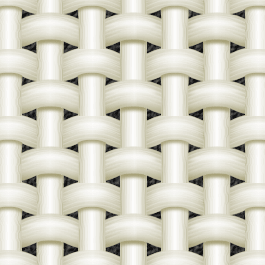 �i�C�t����