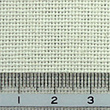 �i�C�t����