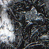 ���[�����ʊg��