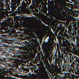 �\�[�L���O���ʊg��