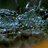 �\�[�L���O�ْf��