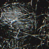 �\�[�L���O�\�ʊg��